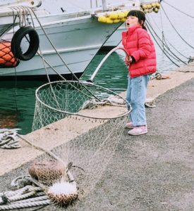 【peko隊釣り部】幼馴染と釣りin 福ノ浦漁港
