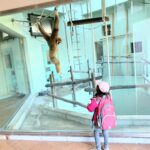 超絶おススメ【福岡市動物園】は近い・安い・面白い神施設!!②動物さん一挙紹介・南園編
