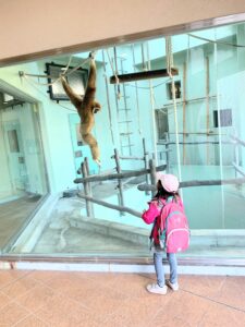 超絶おススメ【福岡市動物園】は近い・安い・面白い神施設!!②動物さん一挙紹介・南園編