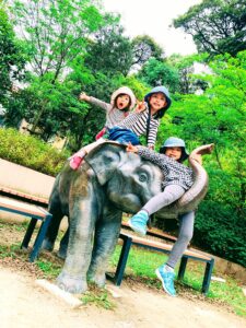 超絶おススメ【福岡市動物園】近い・安い・面白い神施設!!①施設紹介編