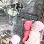 超絶おススメ【福岡市動物園】は近い・安い・面白い神施設!!③動物さん一挙紹介・北園編