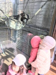 超絶おススメ【福岡市動物園】は近い・安い・面白い神施設!!③動物さん一挙紹介・北園編