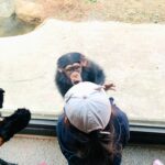 福岡 子連れ 春休み 子供との楽しいお出かけはここだ Peko隊のおススメまとめ Peko隊の冒険
