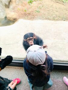 【福岡】【北九州】緑がいっぱいの動物園【到津の森公園】は、楽しい工夫がいっぱいで、子どもが大喜び間違いなし!!