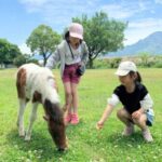 【熊本・阿蘇】子連れ旅行②入場無料の広~い【竹原牧場】で動物触れ合い体験とミルクソフトクリーム✨