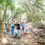 【糸島】【子連れ遊び】芥屋の【トトロの森】はいつ行ってもワクワク!!(≧▽≦)✨幼稚園でも全然登れるよ♪
