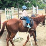 【福岡】【子連れ】大人も子供も馬に乗ろう!!【テーブルランドファースト乗馬クラブ】で超おススメな乗馬体験!!✨