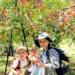 【佐賀・三瀬】【子連れ】二つのりんご園で【りんご狩り】ができるよ✨自然の中、もぎたて丸かじりで子供も大人も気分最高!!(*´▽`*)♥