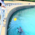 【子連れ壱岐】【家族旅行】一日中【イルカパーク&リゾート 】で遊び倒した!!✨イルカが可愛すぎる神施設です(T_T)♥